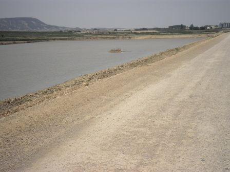2012-05-12-1.JPG