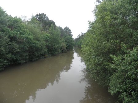2012-05-22-1.JPG