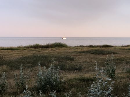 2022-08-20_5.JPG, déc. 2022 2022-08-20_5.JPG